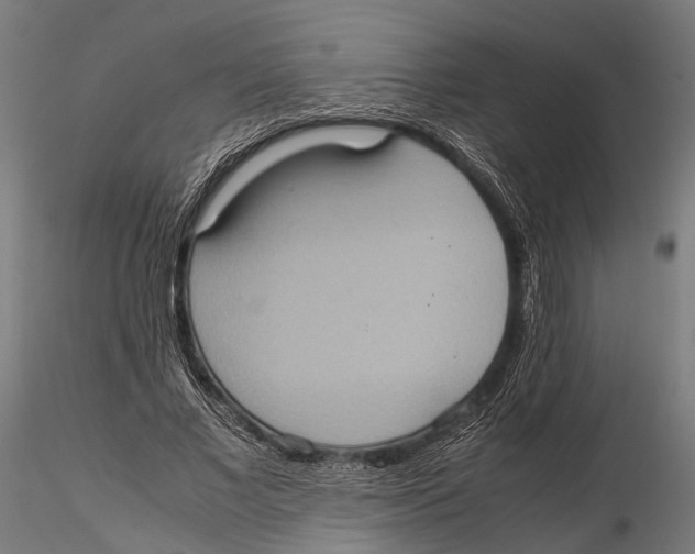 X0000115580685200912081026