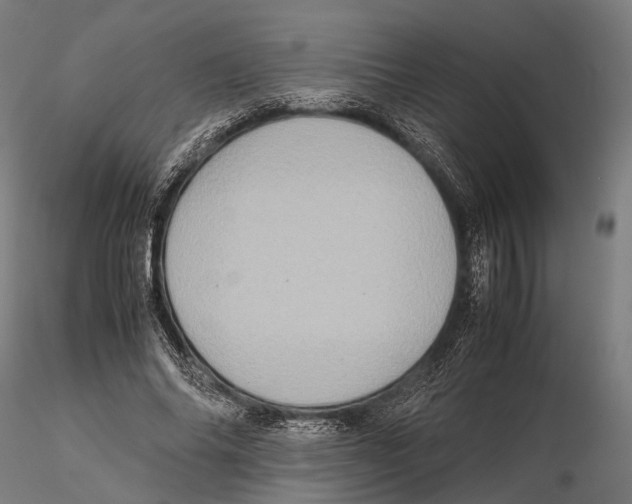 X0000115580686200912081026