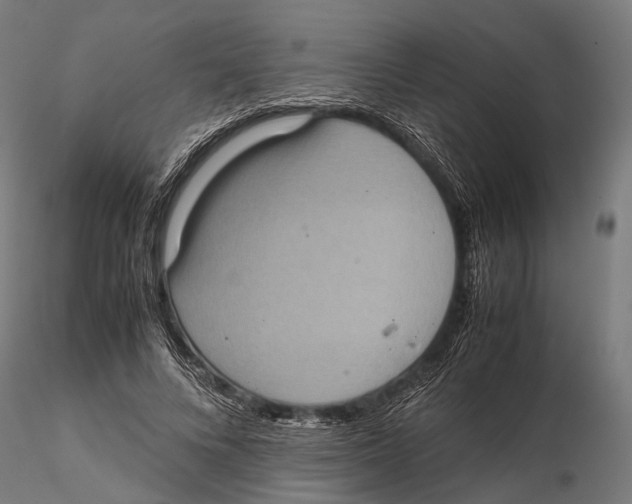 X0000115580688200912081026