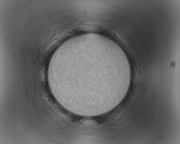 X0000115580689200912081026