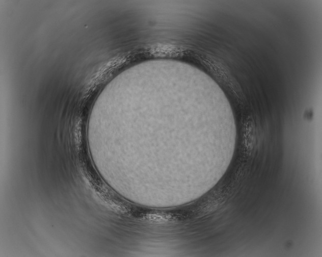 X0000115580690200912081026