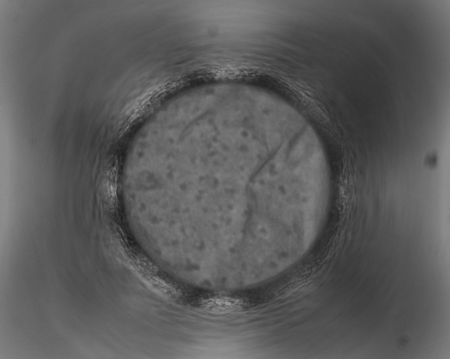 X0000115580691200912081026