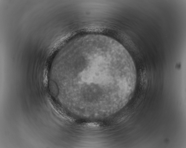 X0000115580692200912081026