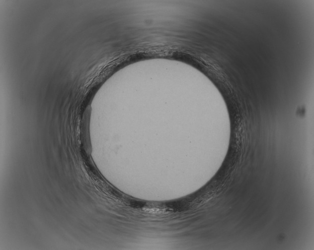 X0000115580693200912081026