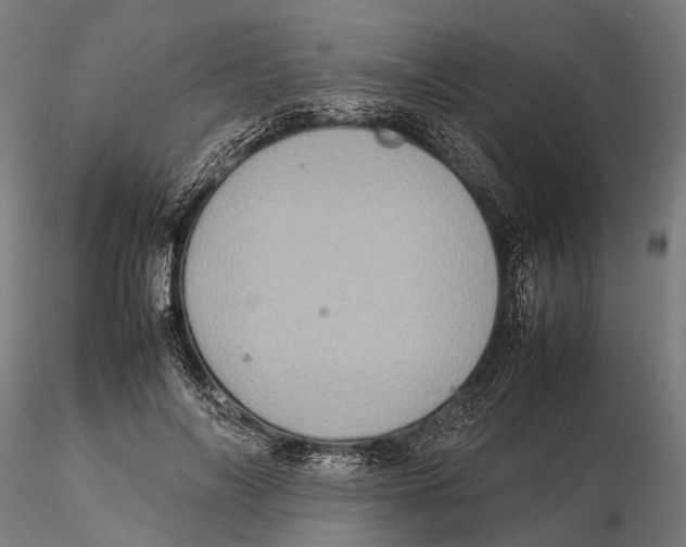 X0000115580694200912081026