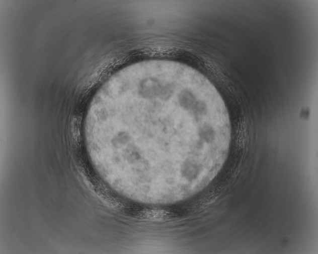 X0000115580695200912081026