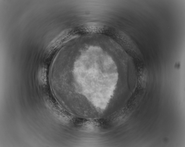 X0000115580696200912081026