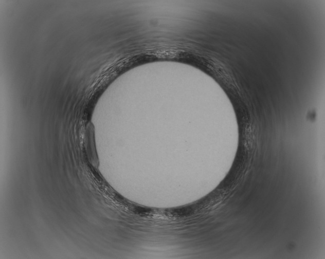 X0000115580697200912081026