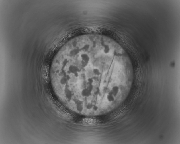 X0000115580699200912081026