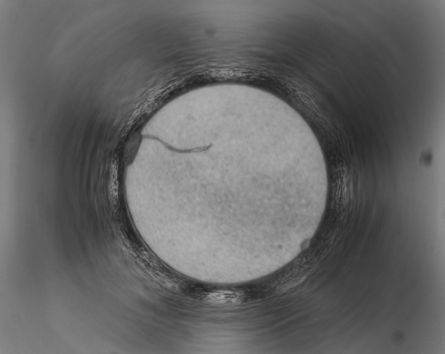 X0000115580700200912081026