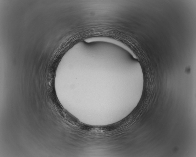 X0000115580701200912081026