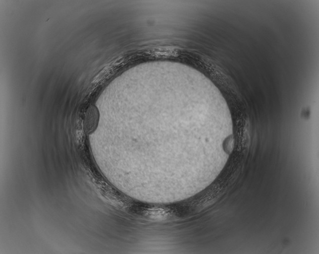 X0000115580704200912081026