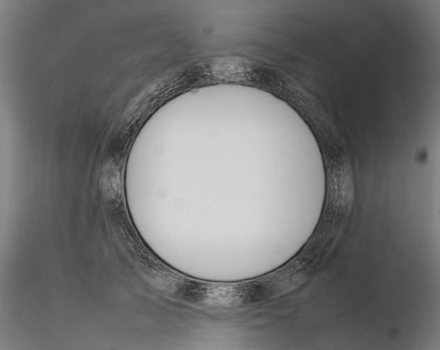 X0000115580705200912081026