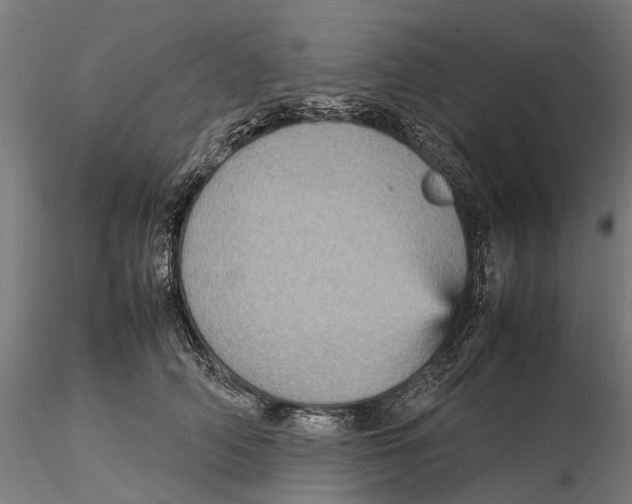 X0000115580706200912081026