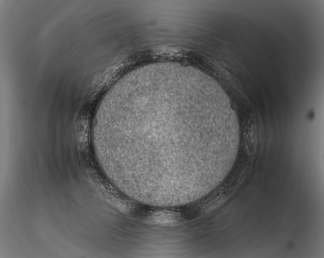 X0000115580708200912081026