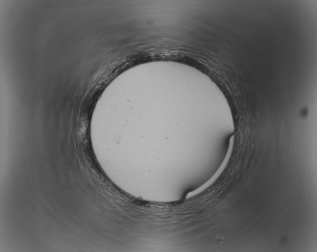 X0000115580709200912081026