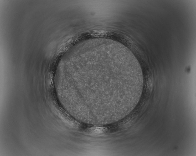 X0000115580711200912081026