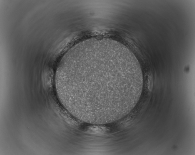 X0000115580712200912081026