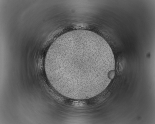 X0000115580714200912081026