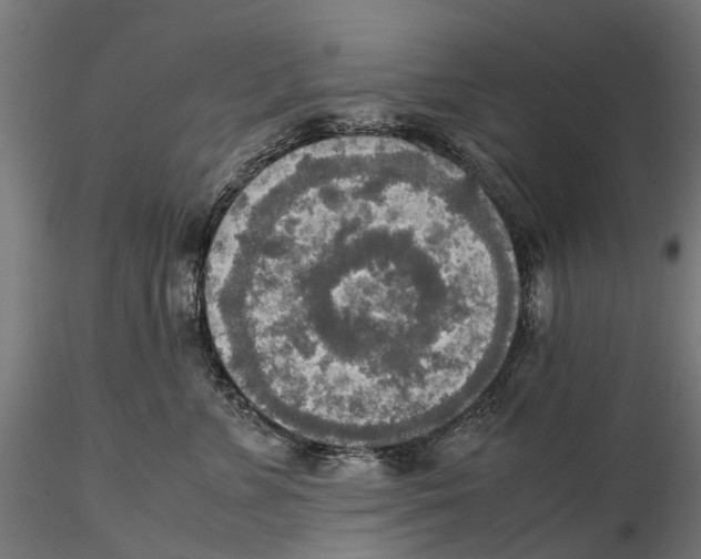 X0000115580715200912081026