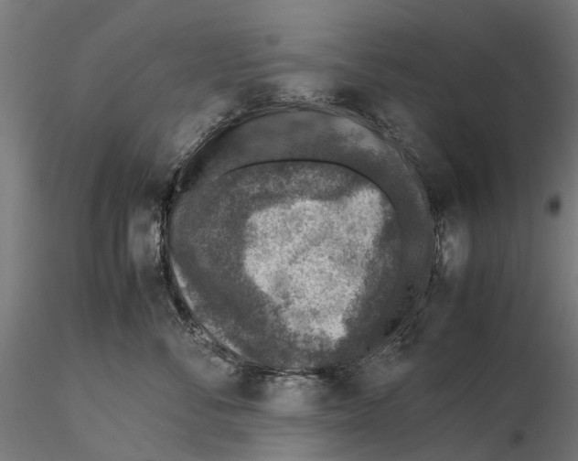 X0000115580716200912081026