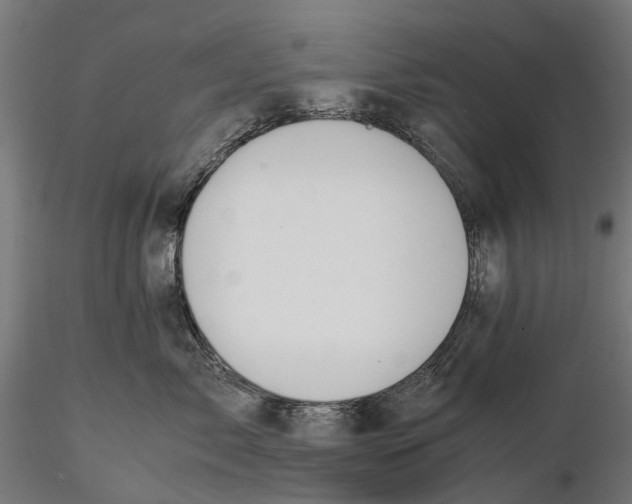 X0000115580717200912081026