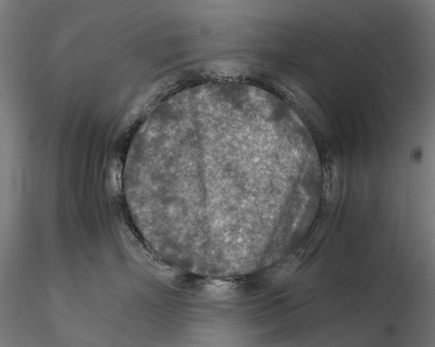 X0000115580718200912081026