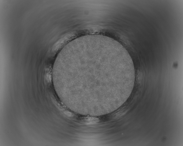 X0000115580719200912081026