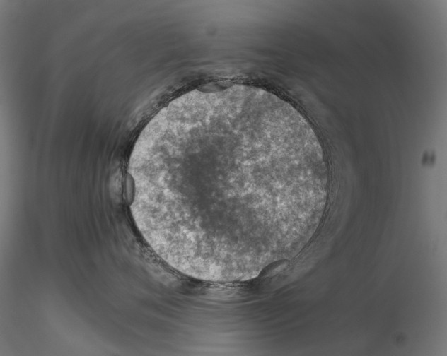 X0000115580720200912081026