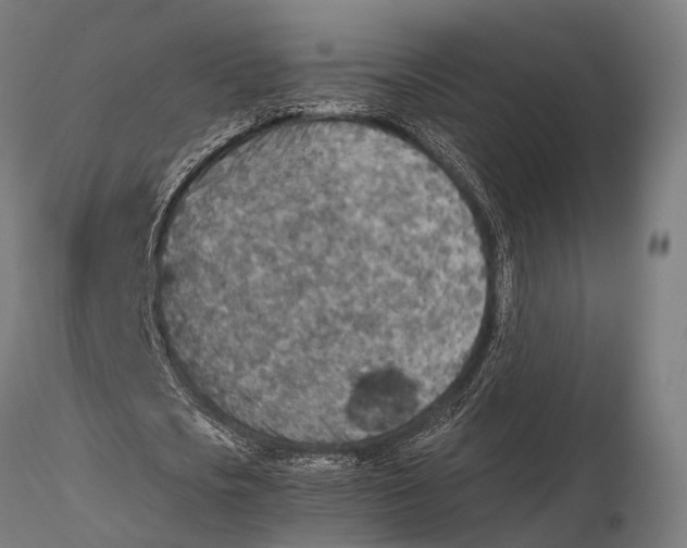 X0000115580721200912081025