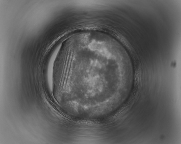 X0000115580722200912081025