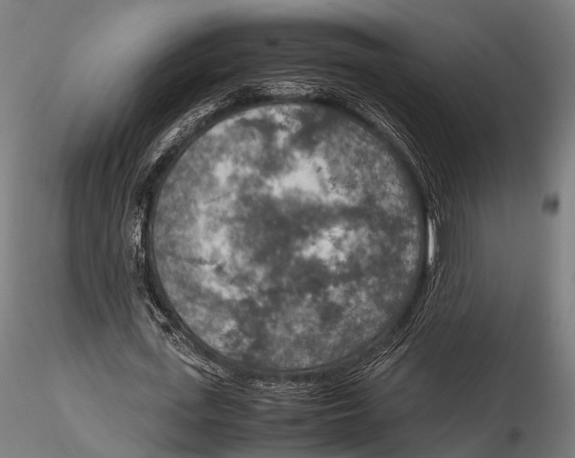 X0000115580723200912081025