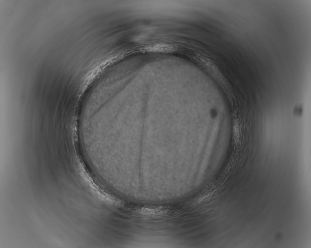 X0000115580725200912081025