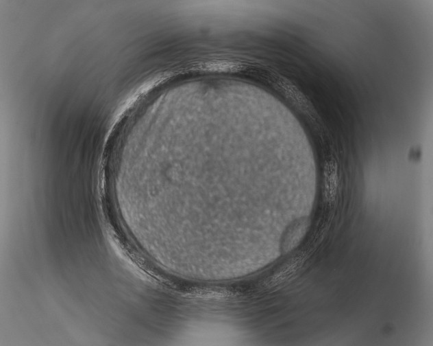 X0000115580726200912081025