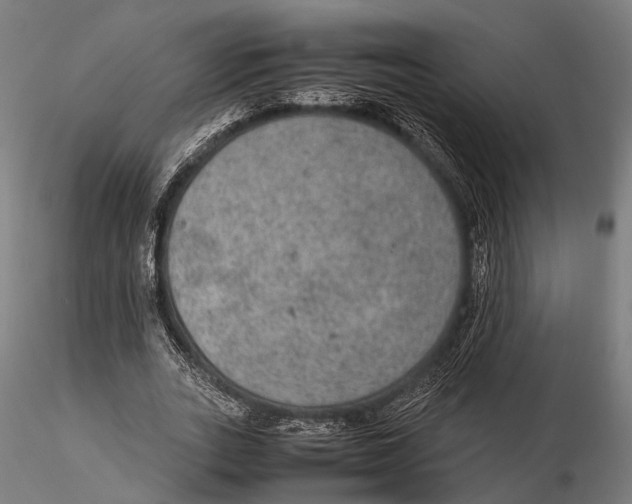 X0000115580727200912081025