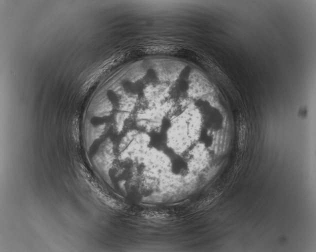 X0000115580729200912081025