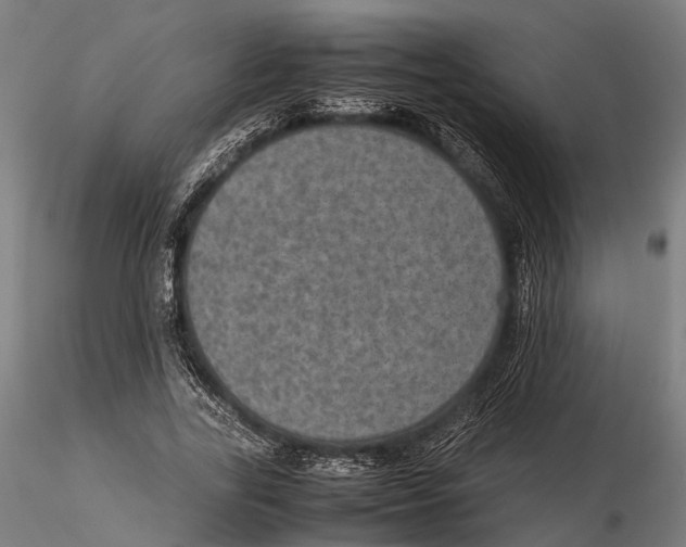 X0000115580731200912081025