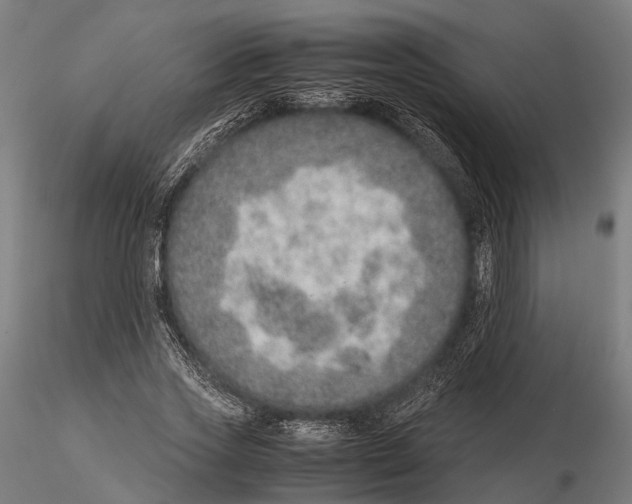 X0000115580733200912081025