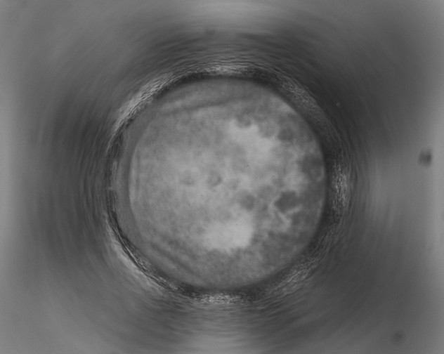 X0000115580734200912081025