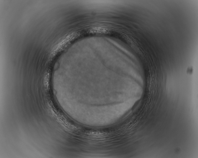 X0000115580735200912081025