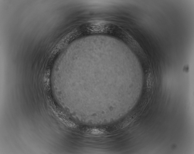 X0000115580737200912081025