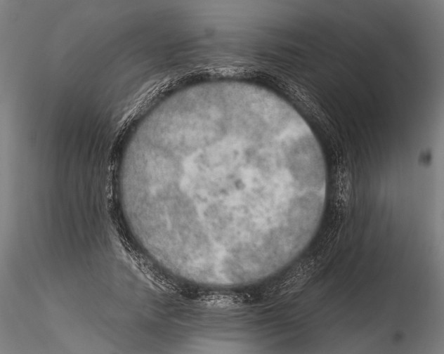 X0000115580738200912081025