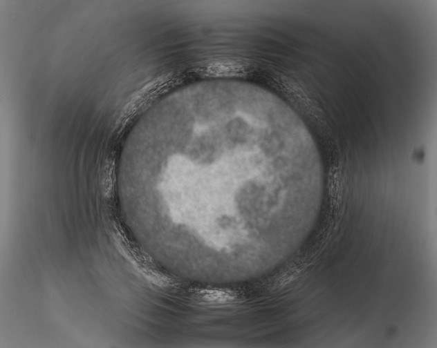 X0000115580741200912081025