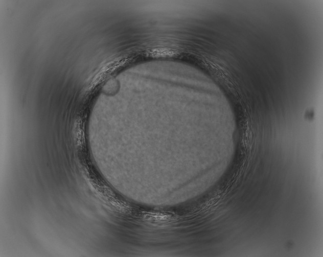 X0000115580743200912081025