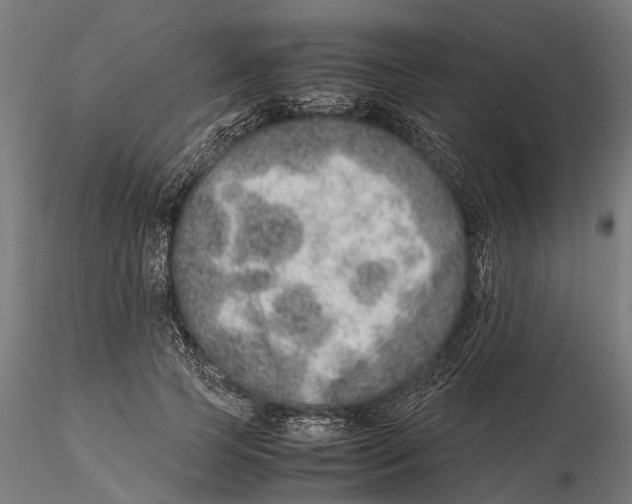 X0000115580745200912081025