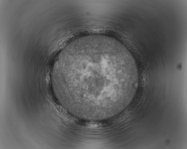 X0000115580746200912081025