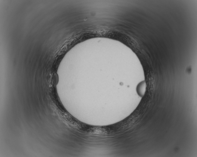 X0000115580750200912081025