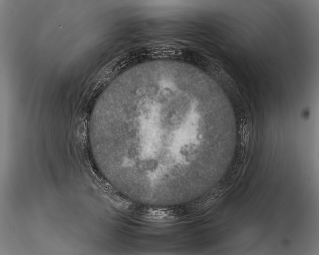 X0000115580753200912081025