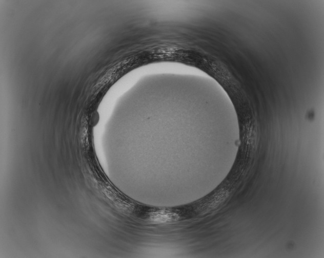 X0000115580754200912081025