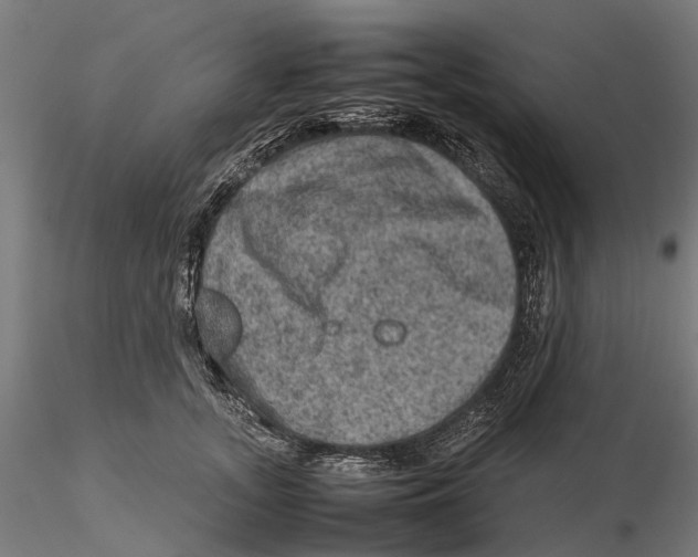 X0000115580755200912081025